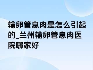 输卵管息肉是怎么引起的_兰州输卵管息肉医院哪家好