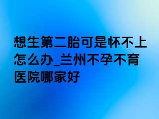 想生第二胎可是怀不上怎么办_兰州不孕不育医院哪家好