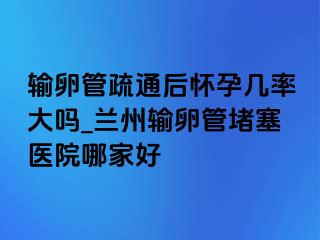 输卵管疏通后怀孕几率大吗_兰州输卵管堵塞医院哪家好